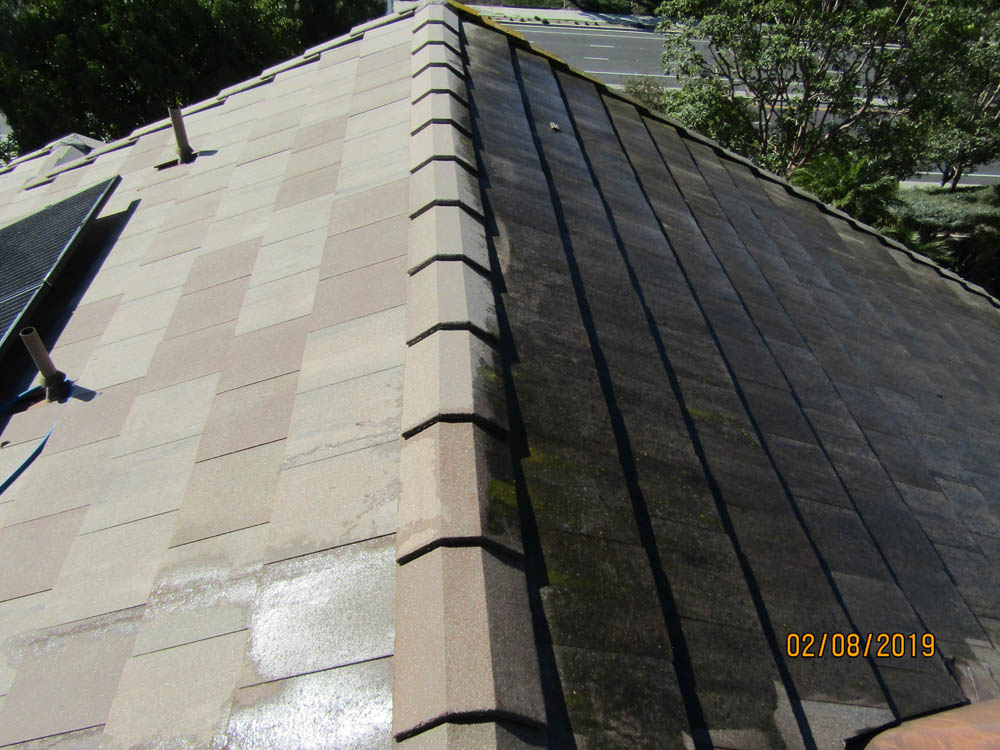 Roof Cleaning Before &  After